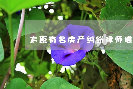 太原有名房产纠纷律师推荐 太原有名房产纠纷律师推荐