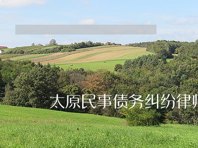 太原民事债务纠纷律师 太原民事债务纠纷律师