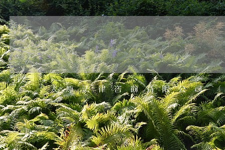 太原法律咨询有限公司 太原法律咨询有限公司