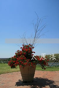 太原法律顾问信息 太原法律顾问信息