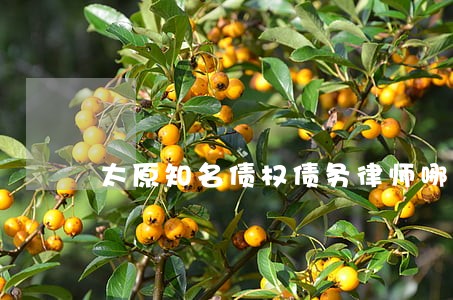 太原知名债权债务律师哪家好 太原知名债权债务律师哪家好