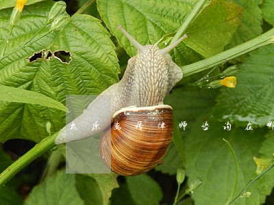 太原离婚律师咨询在哪了 太原离婚律师咨询在哪了