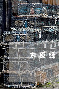 太原经济犯罪辩护律师哪家专业 太原经济犯罪辩护律师哪家专业