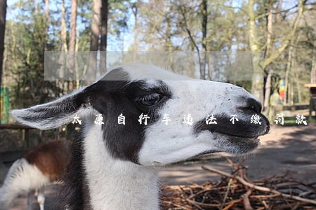 太原自行车违法不缴罚款怎么样 太原自行车违法不缴罚款怎么样