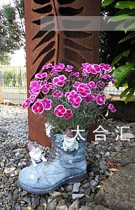 太合汇债务纠纷律师 太合汇债务纠纷律师