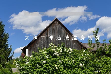 太和二郎违法建房视频 太和二郎违法建房视频