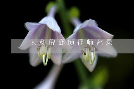 太和倪邱镇律师名录