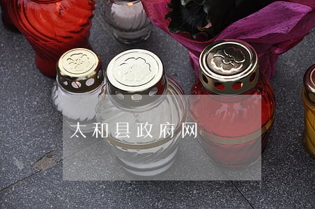 太和县政府网 太和县政府网