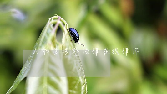 太和县涉外法律在线律师 太和县涉外法律在线律师