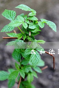 太和法院执行错房子 太和法院执行错房子