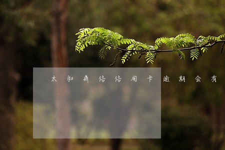 太和鼎信信用卡逾期会有 太和鼎信信用卡逾期会有