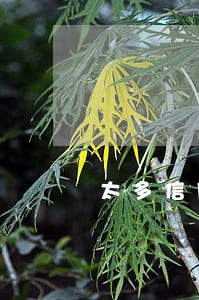 太多信用卡逾期无力偿还 太多信用卡逾期无力偿还