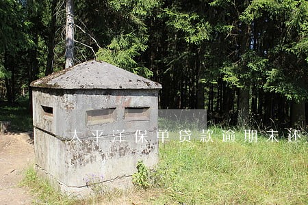 太平洋保单贷款逾期未还 太平洋保单贷款逾期未还