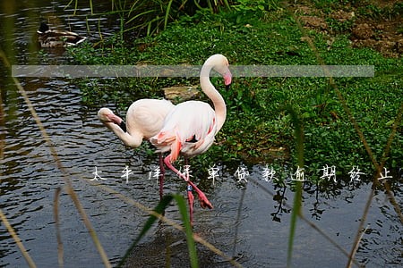 太平洋保单贷款逾期终止 太平洋保单贷款逾期终止