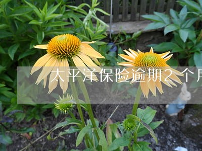 太平洋保险逾期2个月未交