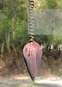 太平洋借贷逾期2年 太平洋借贷逾期2年