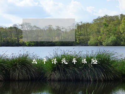 太平洋汽车保险 太平洋汽车保险