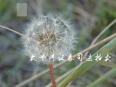 太平洋证券司法拍卖 太平洋证券司法拍卖
