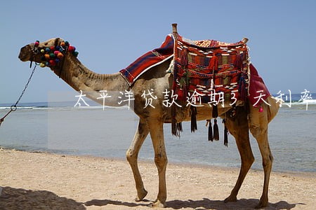 太平洋贷款逾期3天利率 太平洋贷款逾期3天利率