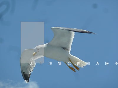 太平洋贷款逾期为啥不起诉 太平洋贷款逾期为啥不起诉