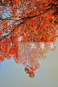 太康县离婚律师排行榜 太康县离婚律师排行榜