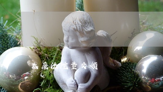 太康法院童文领