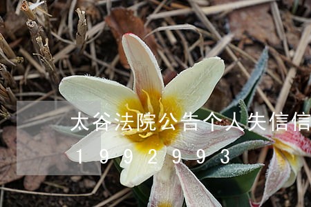 太谷法院公告个人失信信息/2023021992993