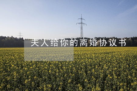 夫人给你的离婚协议书