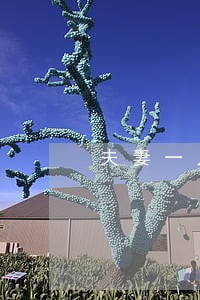 夫妻一人信用逾期会影响房贷吗 夫妻一人信用逾期会影响房贷吗