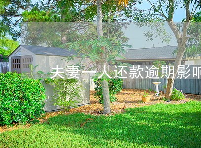 夫妻一人还款逾期影响贷款吗 夫妻一人还款逾期影响贷款吗