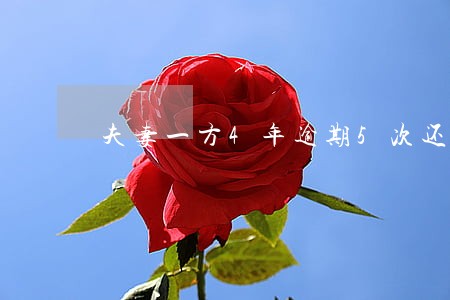夫妻一方4年逾期5次还有网贷