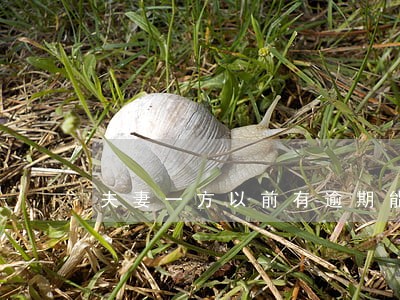 夫妻一方以前有逾期能贷款吗 夫妻一方以前有逾期能贷款吗