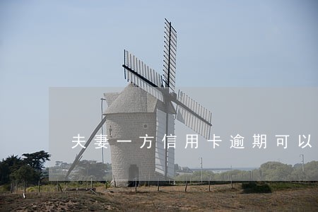 夫妻一方信用卡逾期可以货款吗 夫妻一方信用卡逾期可以货款吗