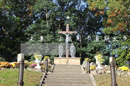 夫妻一方信用卡逾期太多