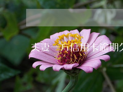 夫妻一方信用卡逾期欠款