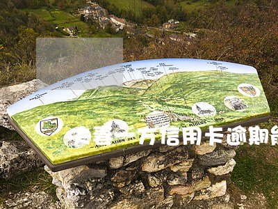 夫妻一方信用卡逾期能办车贷吗 夫妻一方信用卡逾期能办车贷吗
