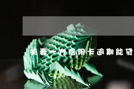 夫妻一方信用卡逾期能贷款吗 夫妻一方信用卡逾期能贷款吗