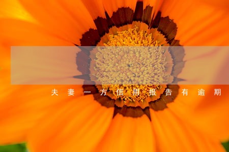 夫妻一方信用报告有逾期