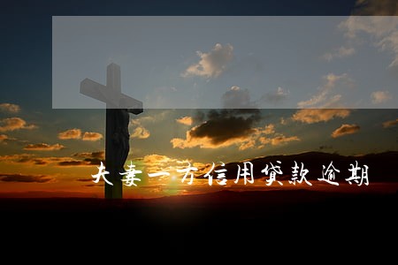 夫妻一方信用贷款逾期