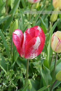 夫妻一方婚前房产离婚后怎么分 夫妻一方婚前房产离婚后怎么分