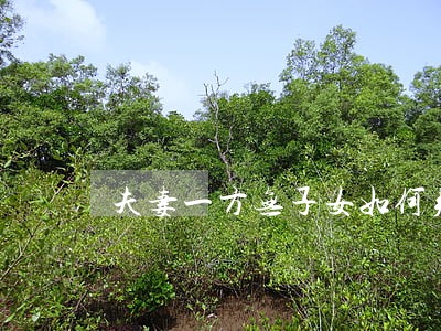 夫妻一方无子女如何判离婚 夫妻一方无子女如何判离婚