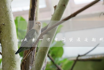 夫妻一方有网贷没逾期影响房贷吗 夫妻一方有网贷没逾期影响房贷吗