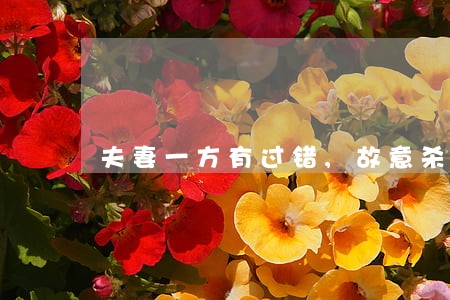 夫妻一方有过错,故意杀人 夫妻一方有过错,故意杀人