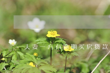 夫妻一方有逾期买房贷款 夫妻一方有逾期买房贷款