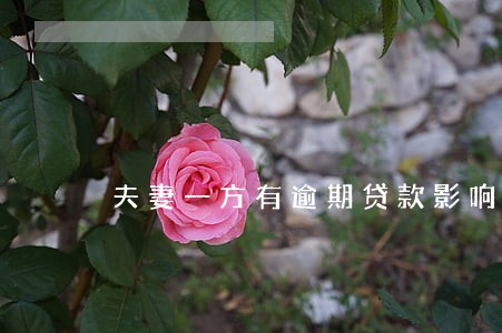 夫妻一方有逾期贷款影响吗 夫妻一方有逾期贷款影响吗