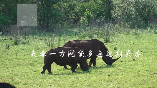 夫妻一方网贷多无逾期买房 夫妻一方网贷多无逾期买房