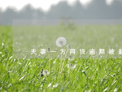 夫妻一方网贷逾期被起诉 夫妻一方网贷逾期被起诉