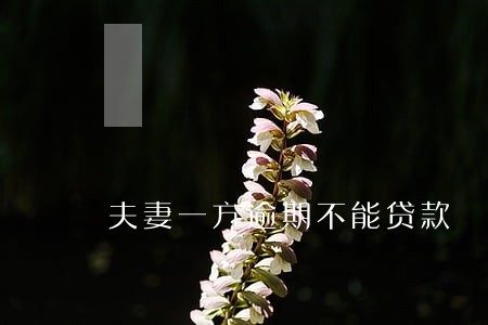 夫妻一方逾期不能贷款 夫妻一方逾期不能贷款