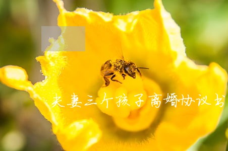 夫妻三个孩子离婚协议书怎么写好 夫妻三个孩子离婚协议书怎么写好