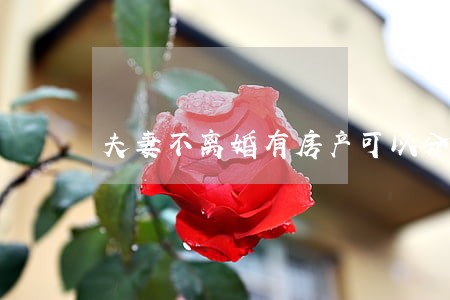 夫妻不离婚有房产可以分户吗